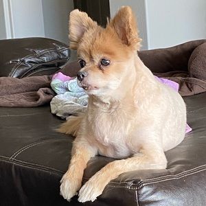 Meet your Posher, Daunn